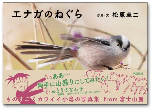 写真集『エナガのねぐら』の表紙