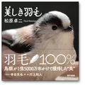 美しき羽毛
